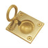 Small Brass Recessed Hinge Pull DP422-PB
